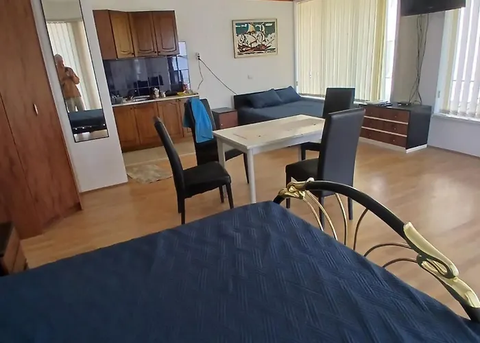 Sobe I Terasa 公寓 斯梅代雷沃